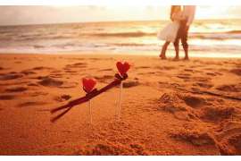 如何挽回出轨的狮子座 如何挽回出轨的狮子座